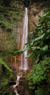 Ribeira Quente yemyeşil bir ormanda büyük bir şelale. Su, Azores Sao Miguel adasındaki bir uçurumdan aşağı akıyor. Statik çekim.