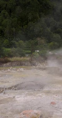 Furnas, Azores 'teki kalderaların kaynayan jeotermal sularından yükselen buharla kaplı bir orman alanı. Buhar sıcak bir volkanik kaynaktan geliyor..