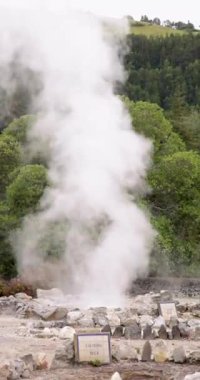 Furnas, Azores 'e su ve buhar sıçratan büyük, kaynayan bir volkanik kaynak göleti. Gölet volkandan gelen basınçla kaynıyor buharlaşmış su ve mineraller yüzeye çıkıyor..