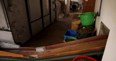 Kurutma ve üretme makineleri olan bir depoda yeşil çay işleme fabrikası. Makinenin dişli ve kemer gibi motorları ve çeşitli sanatları var..