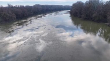 Tisza nehri kıyılarında çıplak ağaçlar bulutlu gökyüzünü yansıtıyor