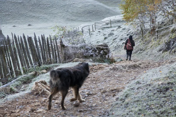 Vrouw en hond op pad — Stockfoto