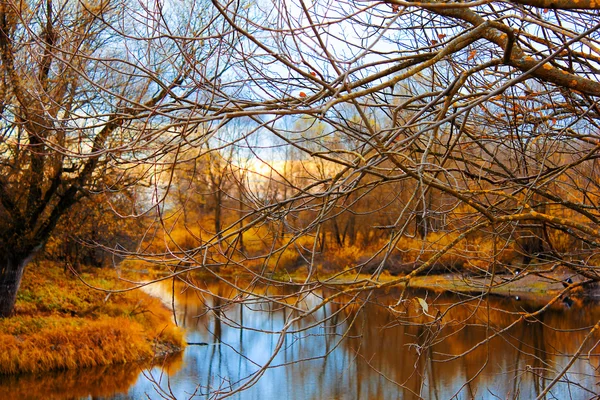 Herbst. die Äste des Baumes. Landschaft — Stockfoto