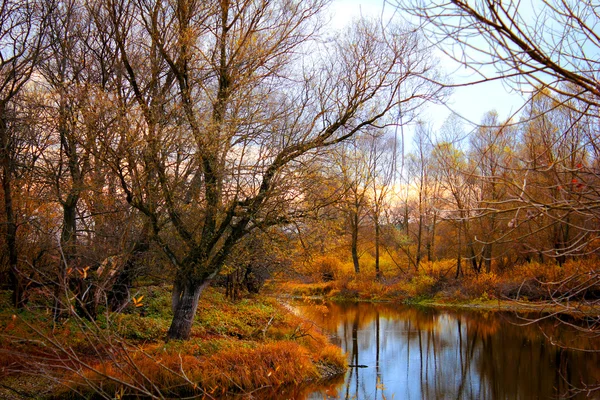 Rivière d'automne colorée avec dans les bois sauvages — Photo