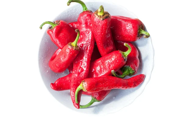 Pimentos de pimentão — Fotografia de Stock