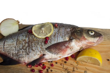 nehir balık çeşnilikler ile konuşmak 