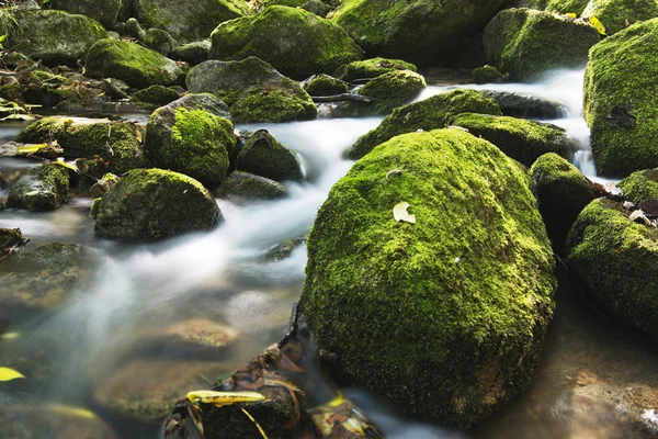 Rocks and streams — Stock Photo, Image