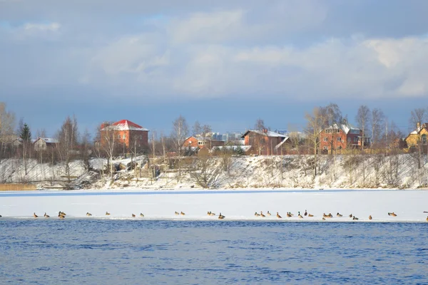 Costa del río Neva en las afueras de San Petersburgo —  Fotos de Stock