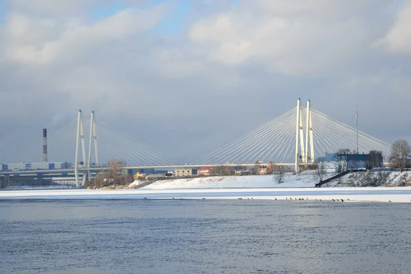 Cable se quedó puente y río Neva. —  Fotos de Stock
