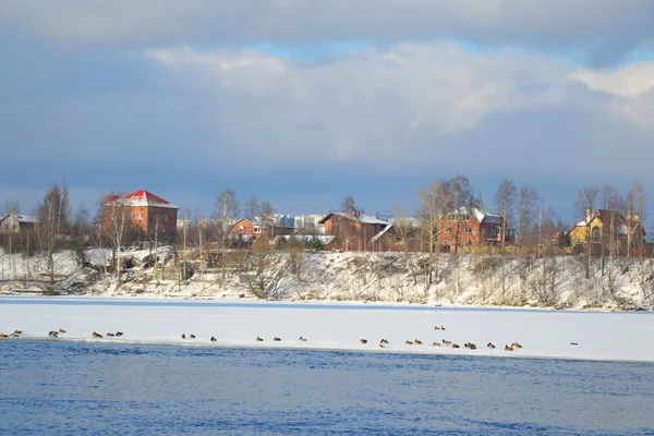 Costa del río Neva en las afueras de San Petersburgo —  Fotos de Stock