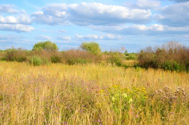 Yaz alan, Beyaz Rusya.