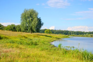 Nehir kıyısında güneşli bir gün.