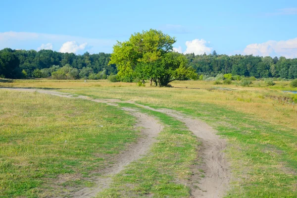 Paesaggio estivo, Bielorussia . — Foto Stock