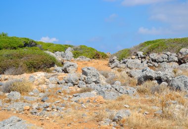 Yaz dağı manzarası.
