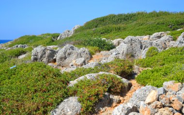 Yaz dağı manzarası.