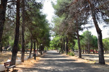 Yaz peyzaj, Yunanistan.