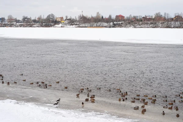 St. Petersburg eteklerinde Neva Nehri'nin görünümü. — Stok fotoğraf