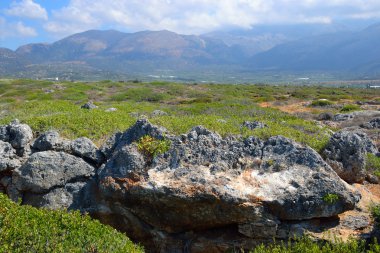 Yaz dağı manzarası.