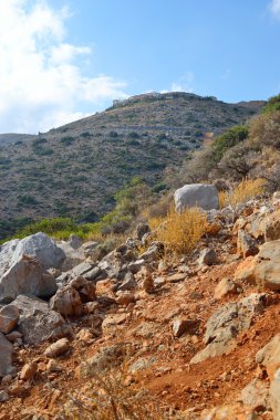 Yaz dağı manzarası.