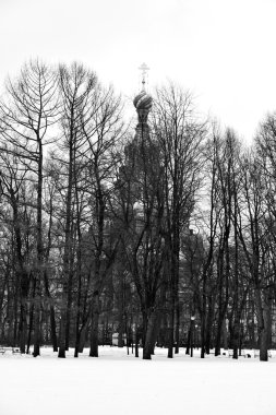 Mikhailovsky Bahçe ve kurtarıcı dökülmüş kan Katedrali üzerinde.