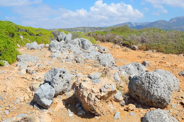 Zomer berglandschap. — Stockfoto