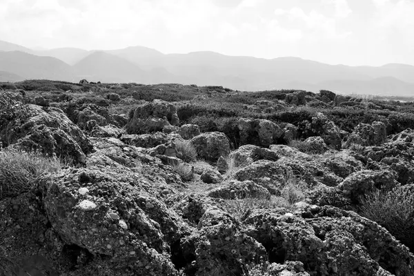 Summer mountain landscape. — Stock Photo, Image