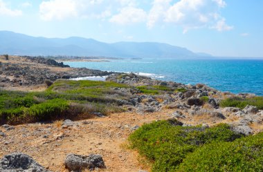 Ege deniz kıyısında.