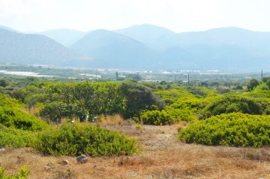 Girit'te yaz manzara.