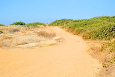 Girit'te yaz manzara.