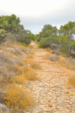 Girit'te yaz manzara.