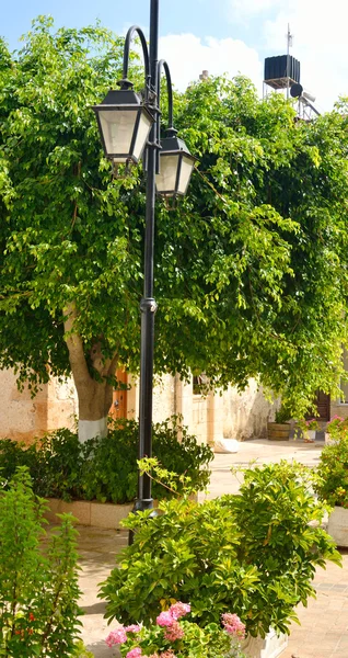在玛丽亚街道上的树和灯笼. — 图库照片