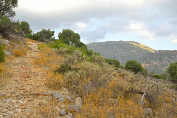 Landschap zomer in Kreta. — Stockfoto