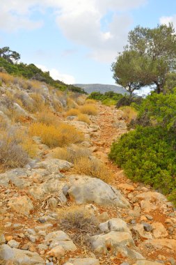 Girit'te yaz manzara.