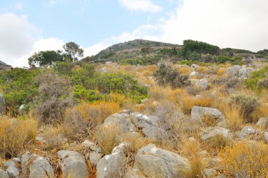 Yaz dağı manzarası.