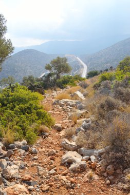 Yaz dağı manzarası.