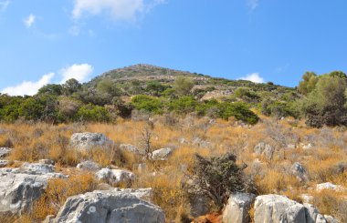 Yaz dağı manzarası.