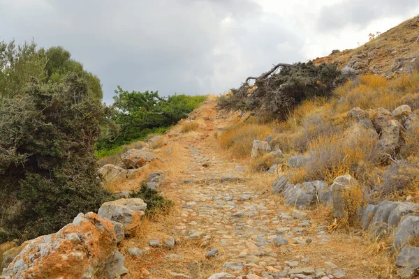 Paisagem de verão em Creta . — Fotografia de Stock