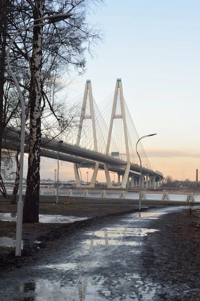 Kabel stannade bridge och dirty spår i parken. — Stockfoto