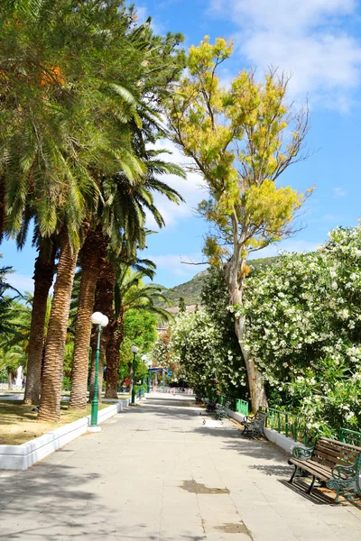 Sommerlandschaft, Griechenland. — Stockfoto