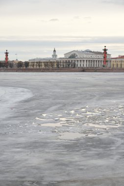 Görünümü tükürük Vasilyevsky adanın ve dondurulmuş Neva Nehri.