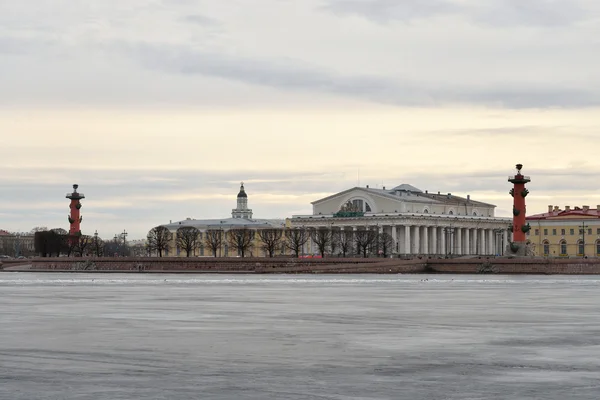 Veduta del fiume Neva ghiacciato e Sputa dell'isola di Vasilyevsky . — Foto Stock