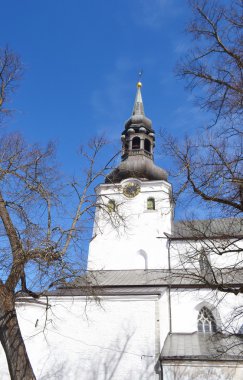 Tallinn dome cathedral.
