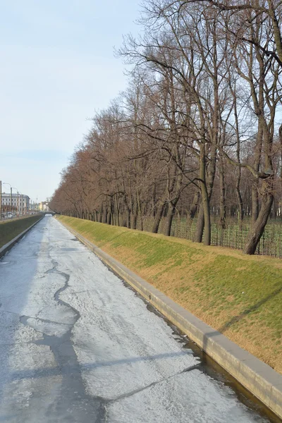 Jardin d'été et canal des cygnes à Saint-Pétersbourg . — Photo