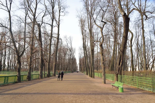 St.petersburg yaz bahçede. — Stok fotoğraf