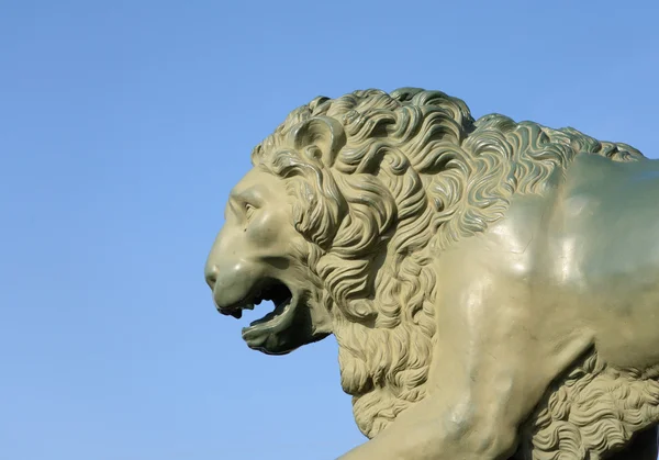 Statua del leone, San Pietroburgo . — Foto Stock