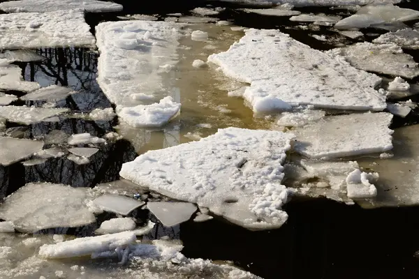 Ice floes on the water. — Stock Photo, Image