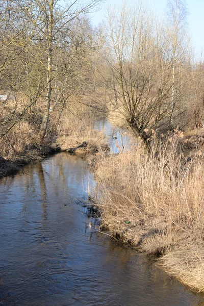 River at spring. — Stock Photo, Image