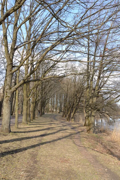 Parque no início da primavera . — Fotografia de Stock