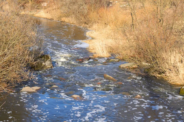 Rivier in voorjaar. — Stockfoto