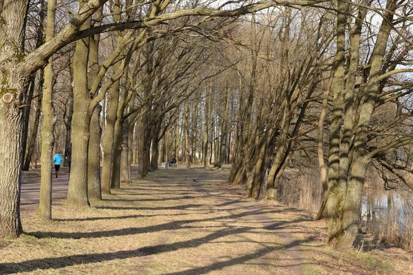 Park in het vroege voorjaar. — Stockfoto